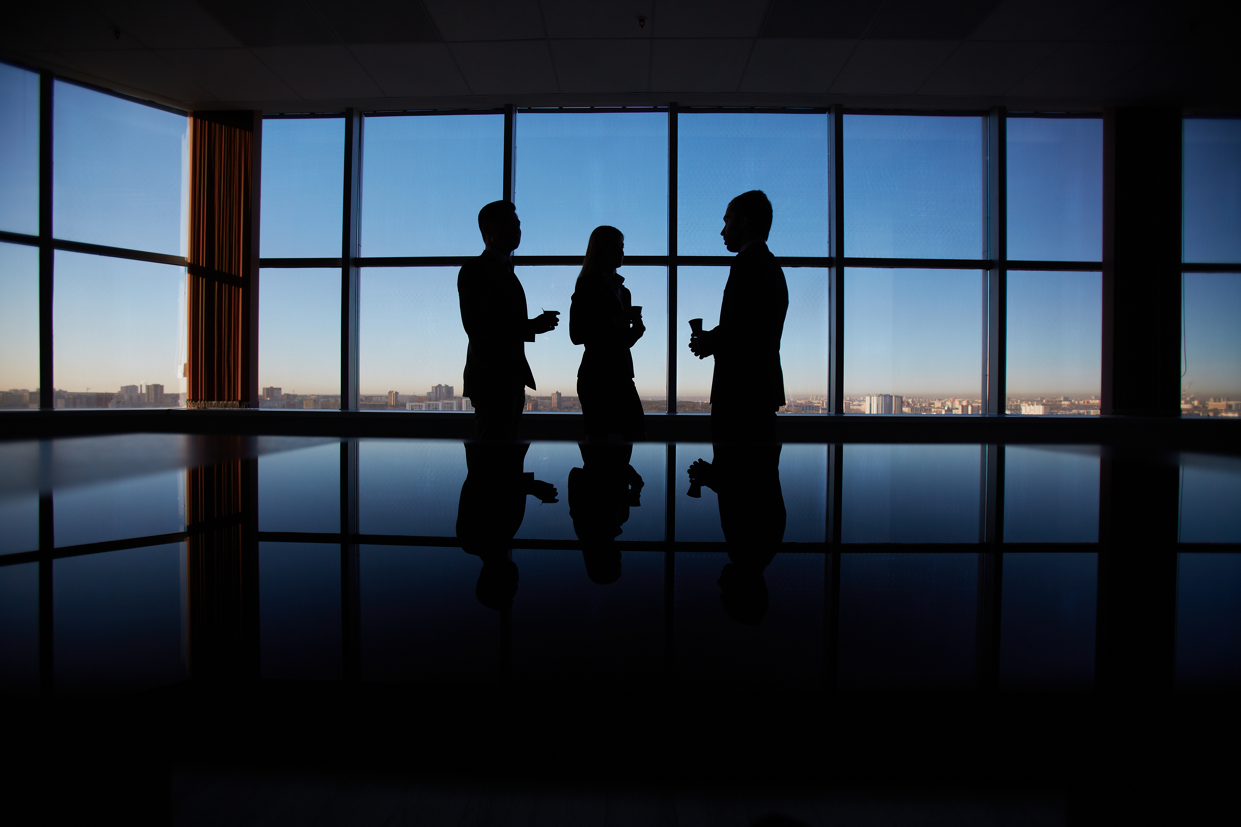Partner and Talent Ecosystem
