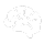 Brain Icon